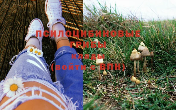 не бодяженный Медногорск