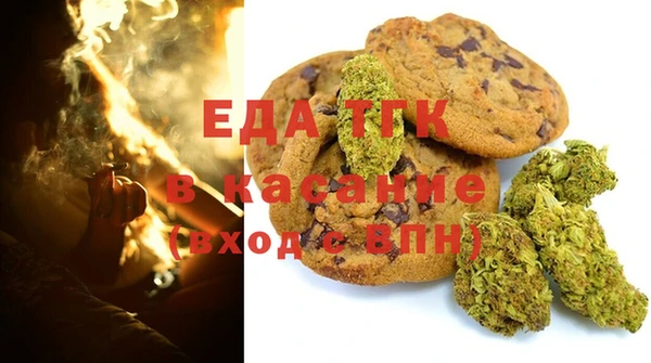 крисы Мегион