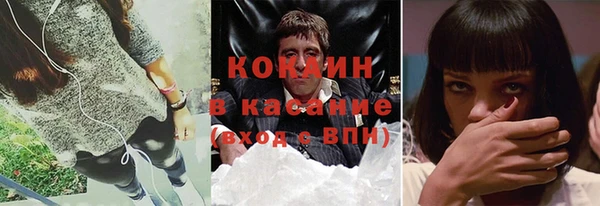 крисы Мегион
